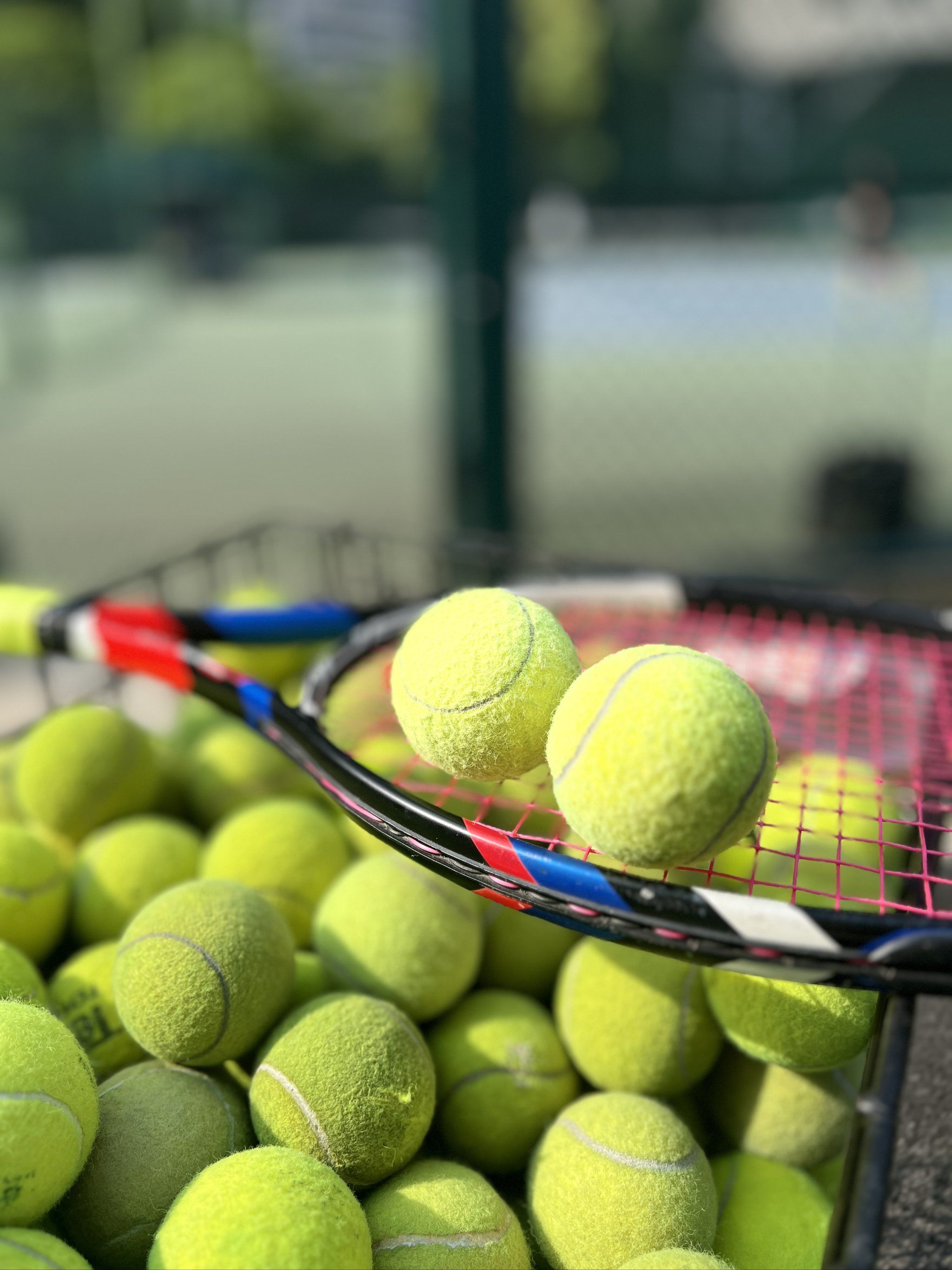 1号球衣永 1号球衣永